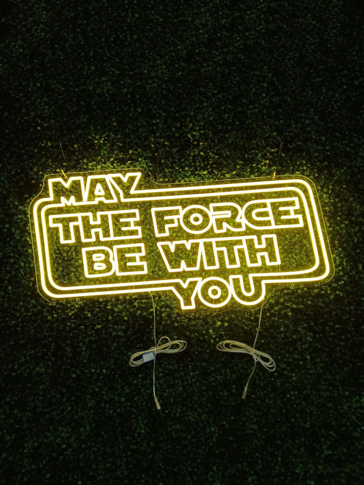 Video Cover Image