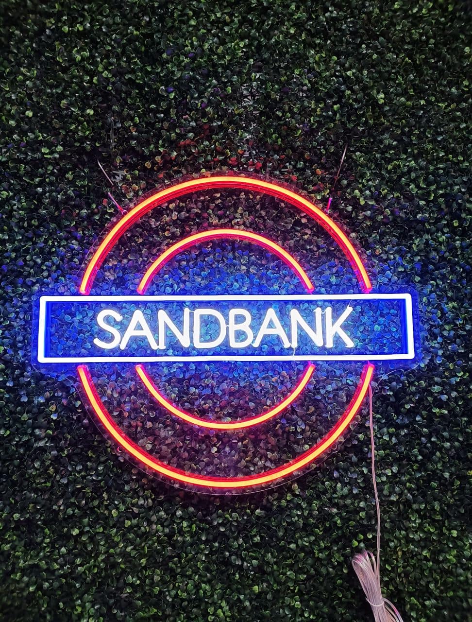 Video Cover Image