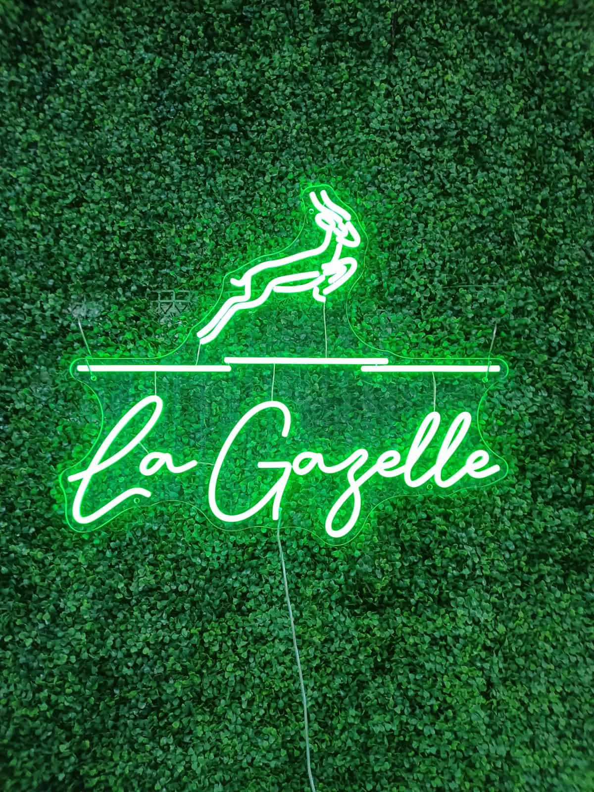 Video Cover Image