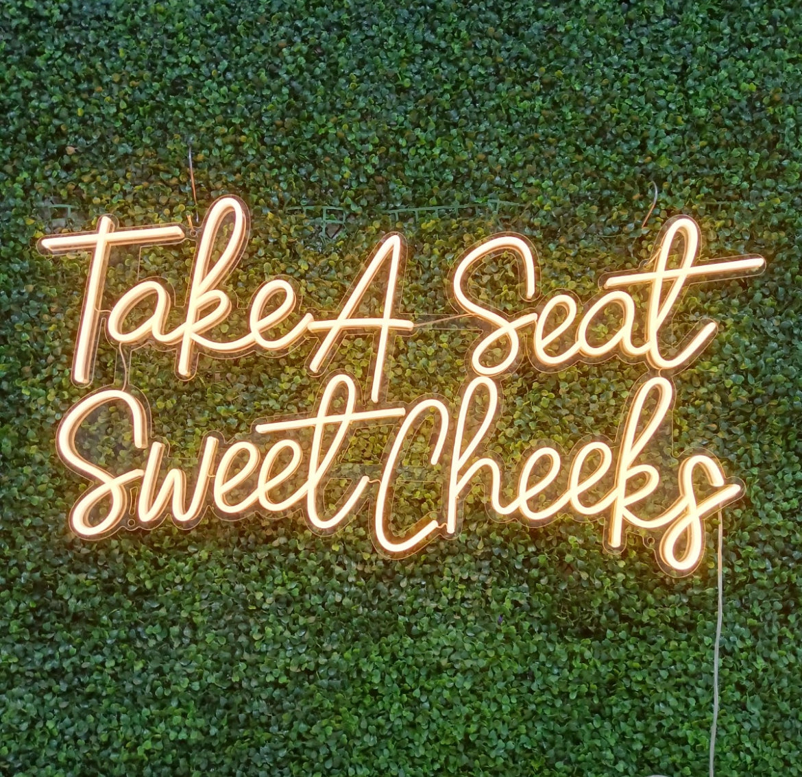 Take a seat sweet cheeks neon sign