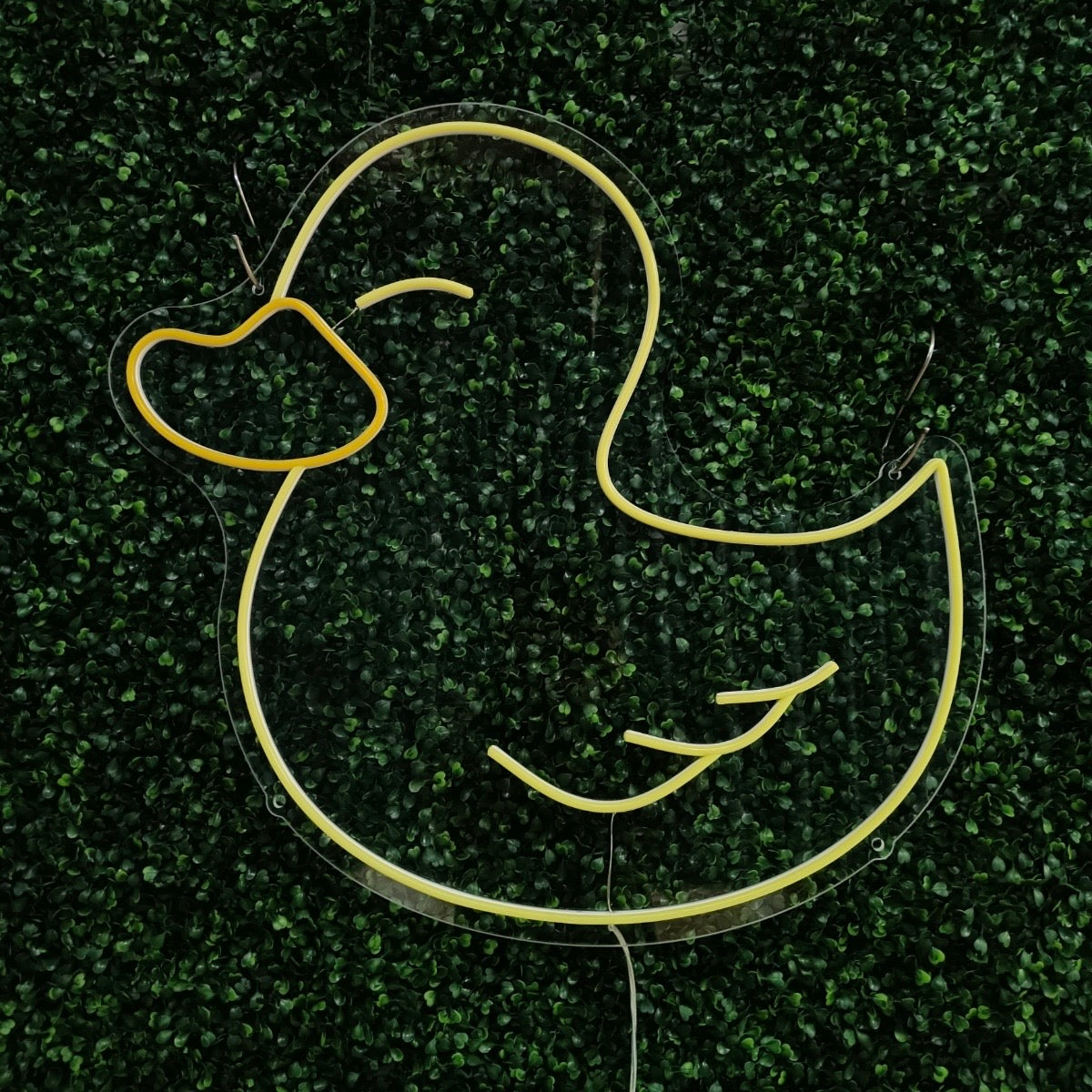 Duck neon sign