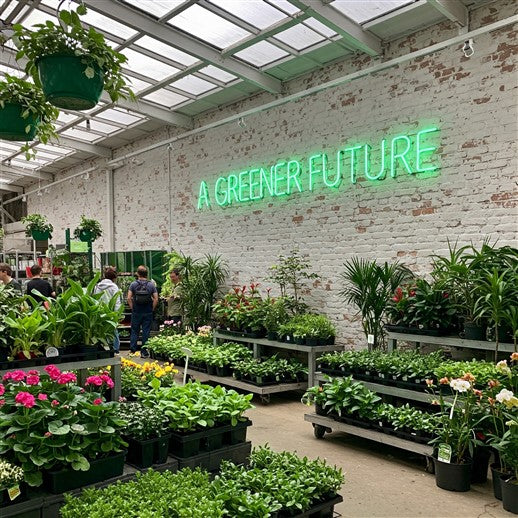 Bright green LED neon sign reading 'A Greener Future' displayed in a lush plant nursery, showcasing sustainable and stylish decor for eco-friendly interiors