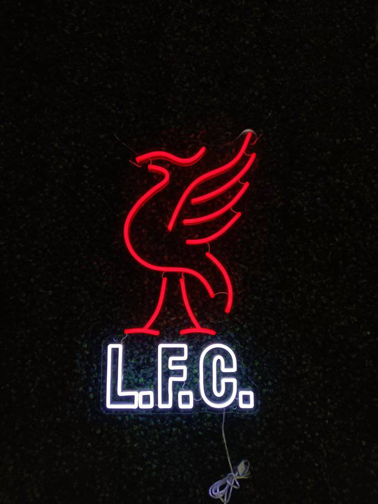 Video Cover Image