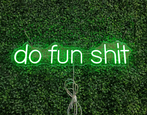 Do fun shit Neon Sign