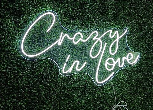 Crazy in Love LED Neon Sign