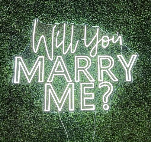 Will you Marry Me LED Neon Sign