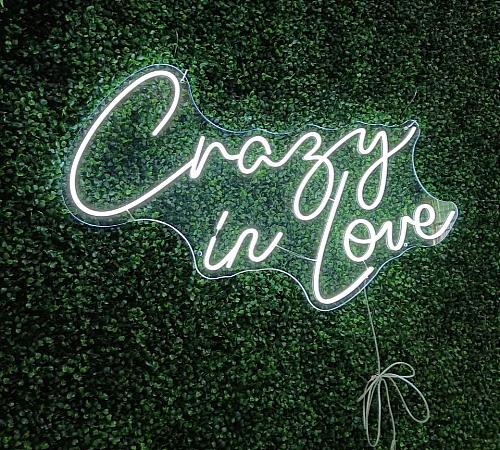 Crazy in Love LED Neon Sign