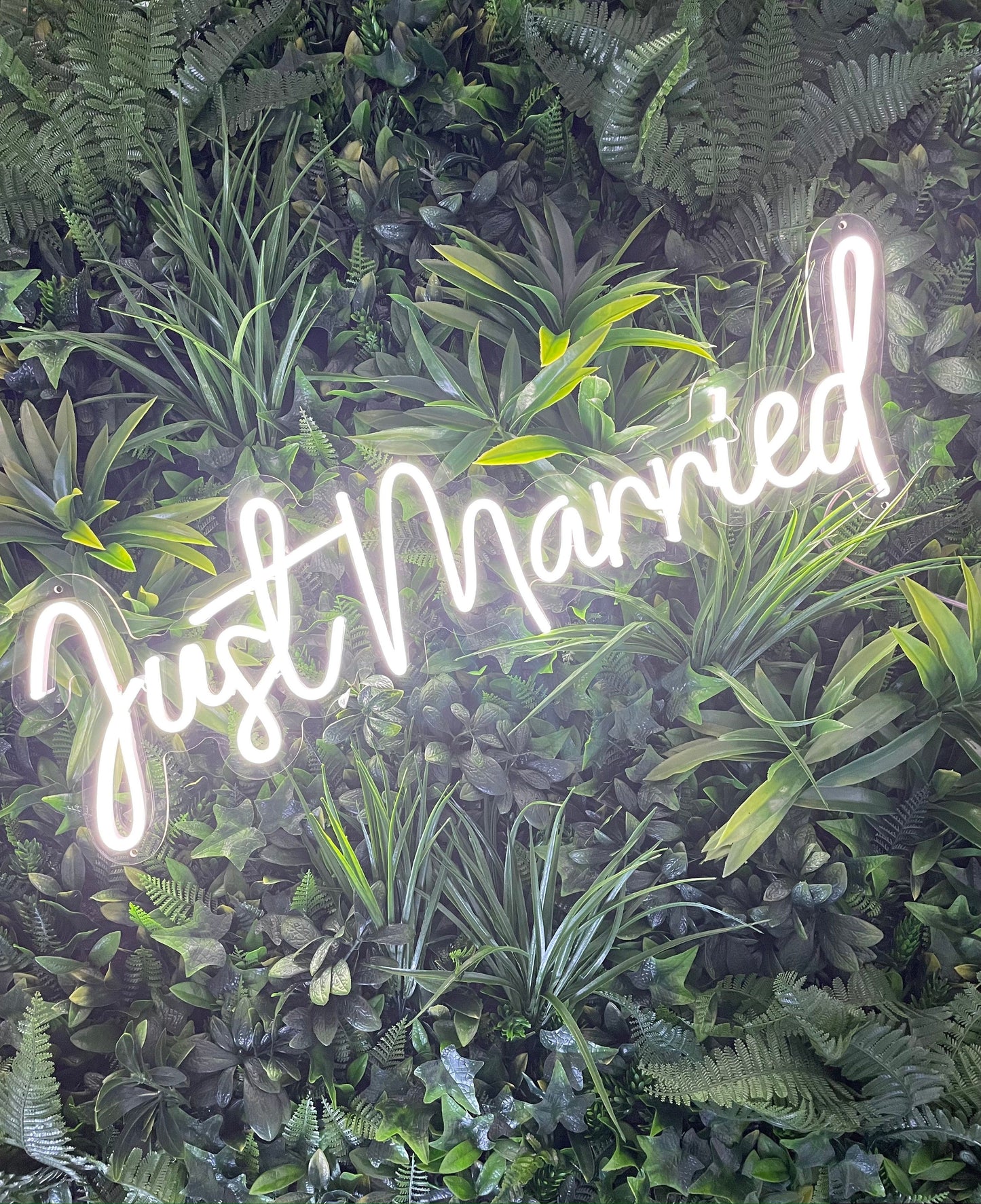 Just Married Neon Sign