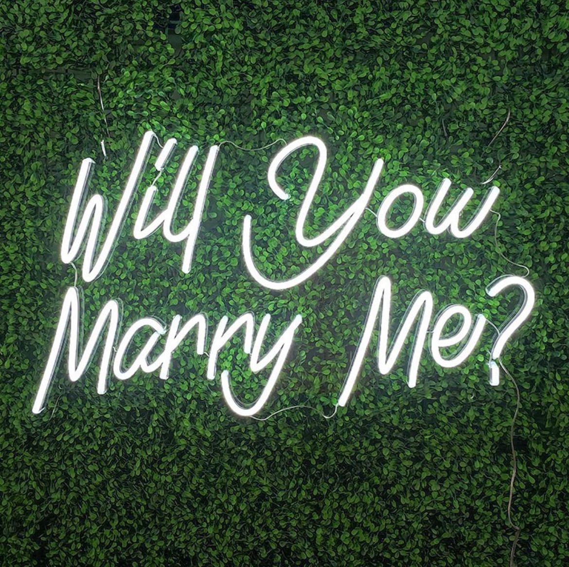 Will you marry me? (Design 2) LED Neon Sign