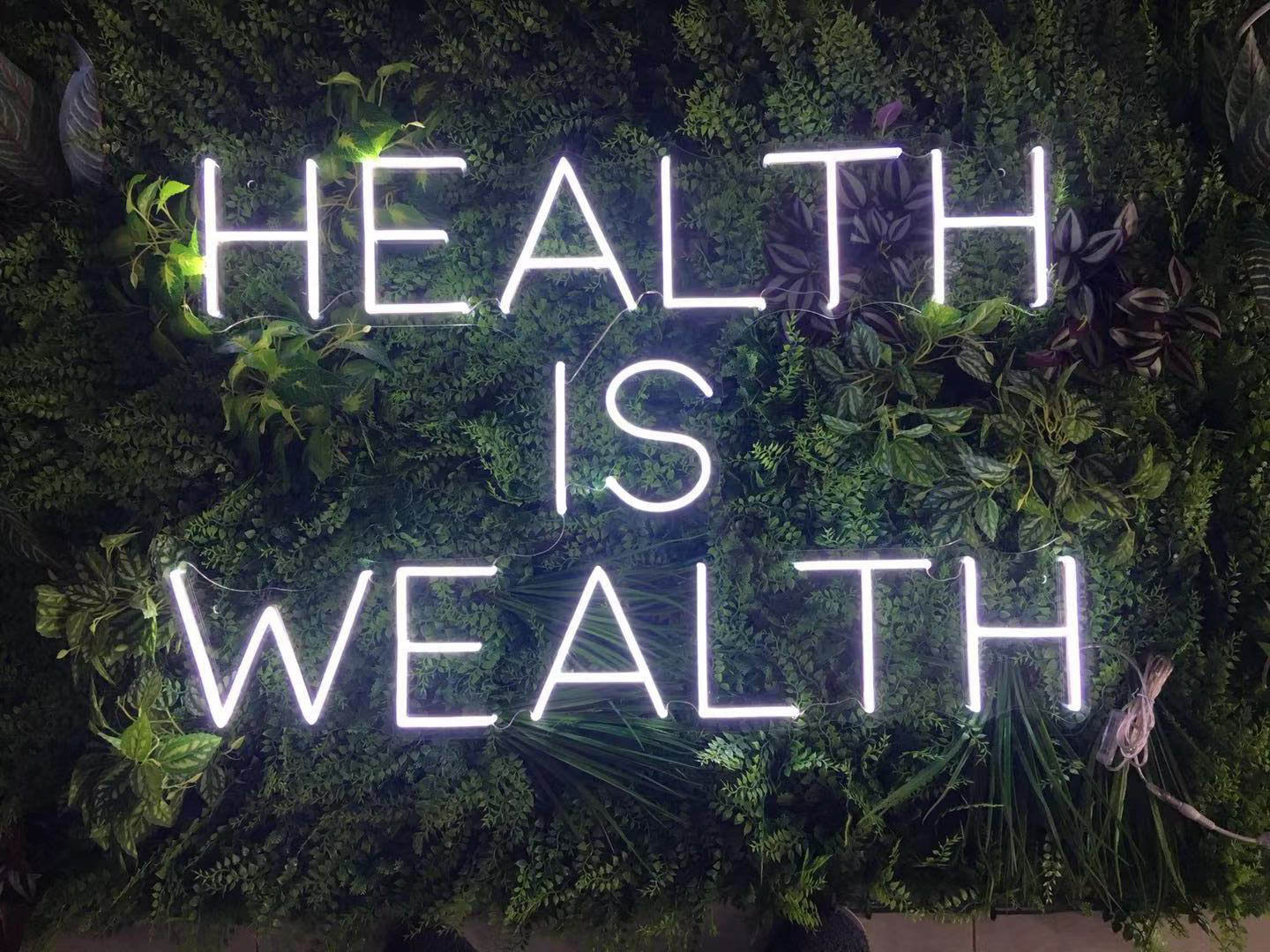 Health is Wealth LED Neon Sign