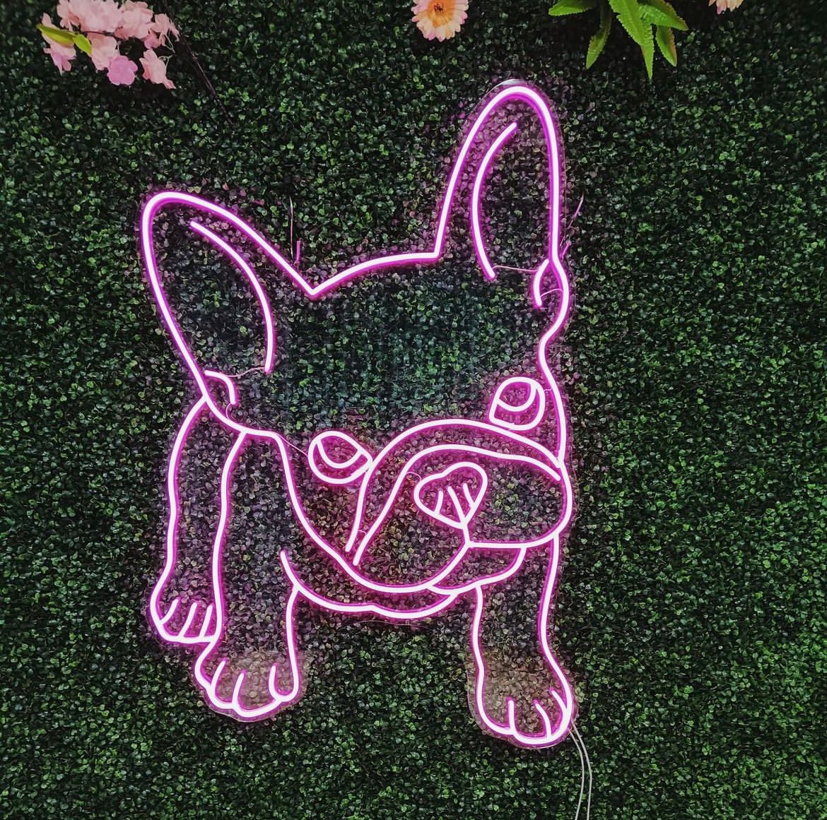 French Bulldog Neon Sign